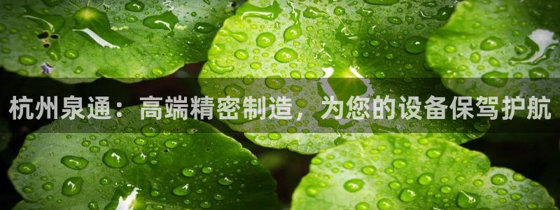 九游会不提款