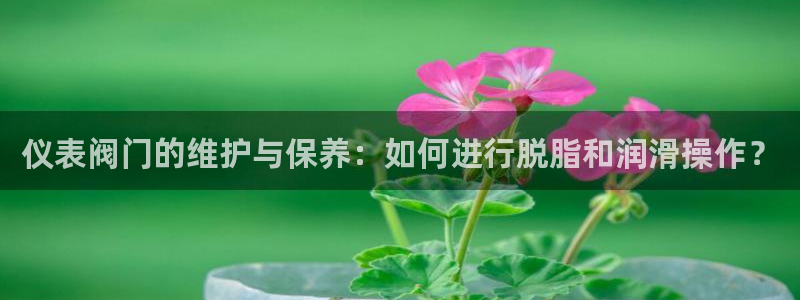 九游会龙虎