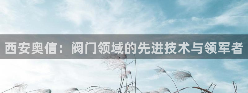 九游会登陆官方网站