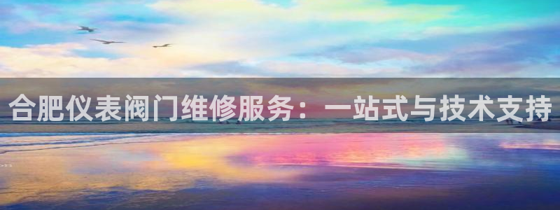 园游会小九