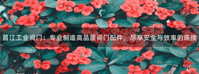 九游会app下载