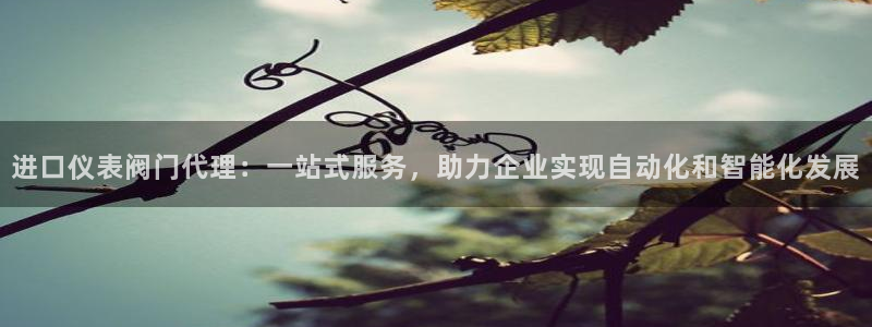 ag旧版九游会