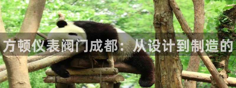 九游会j 9