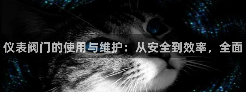 九游会体育网页版