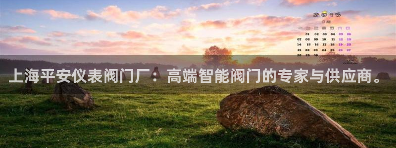 九游会平台洗钱