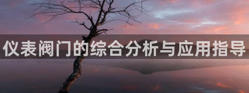 凯发九游会