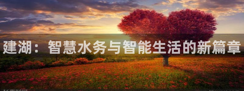 泰国九游会