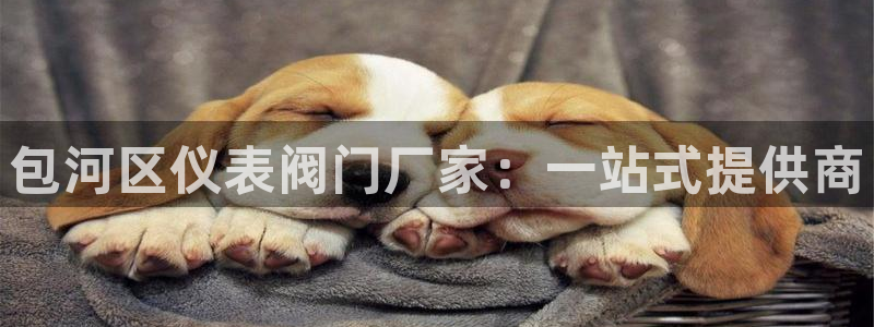 ag九游会j9登录入口旧版