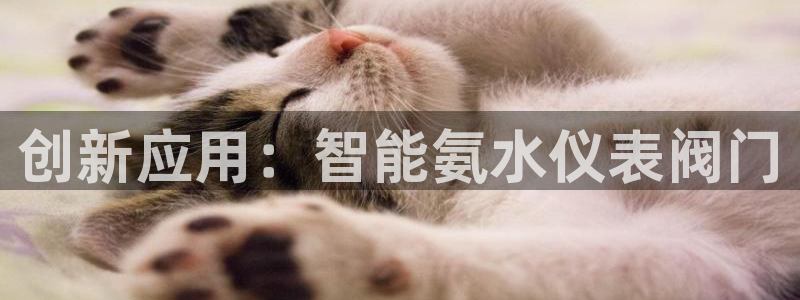 九游会登陆官方网站