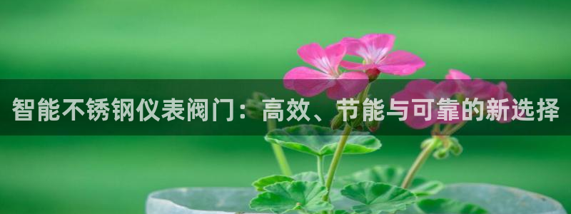 九游会的网址九