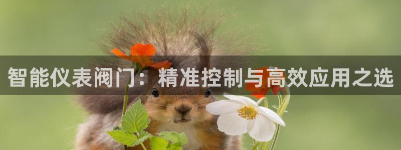 AG九游会j