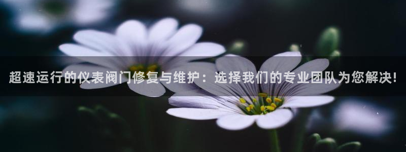 河曲灯游会九门的寓意