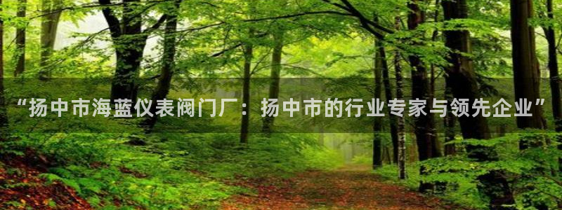 九游会ag.