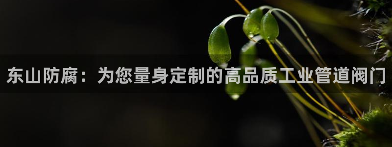 九游会平台九游会