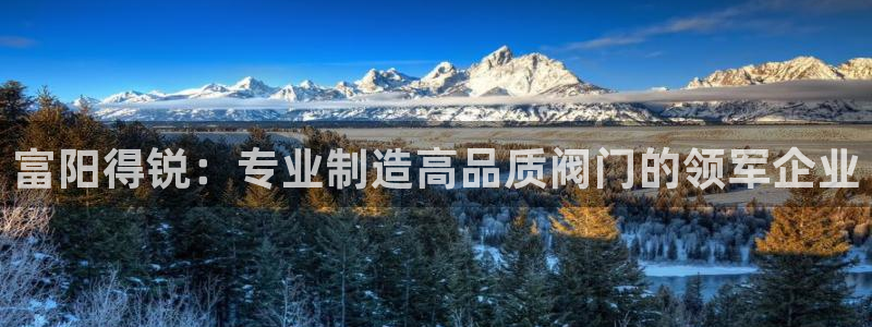 九游会注册链接