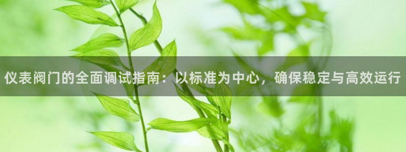 亚洲九游会公司