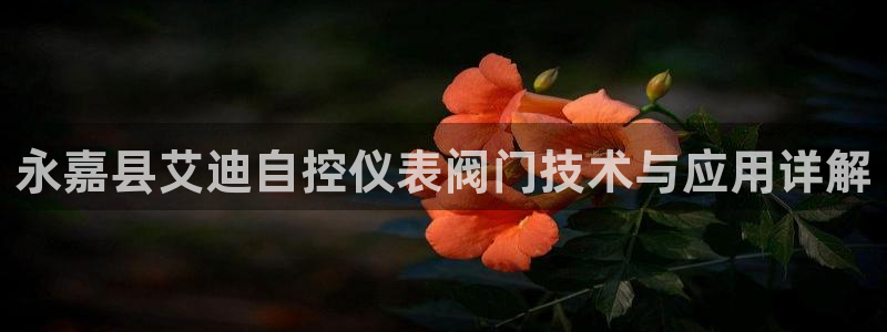 ag变为九游会