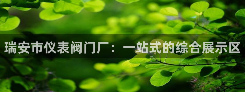 九游会数字站