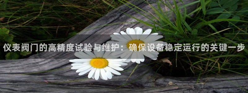 ag九游会官网Ag