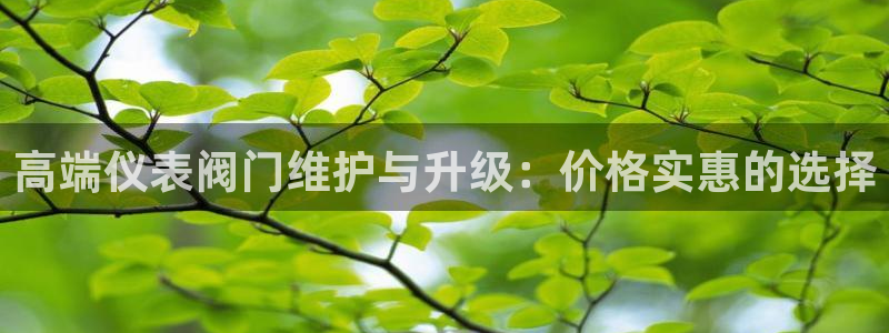 九游会ag亚洲集团官方网站