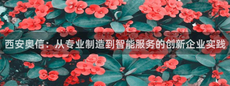 九游会贷款