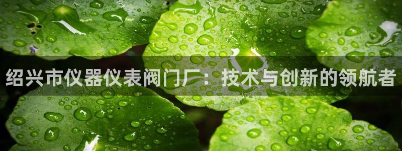 九游会足彩