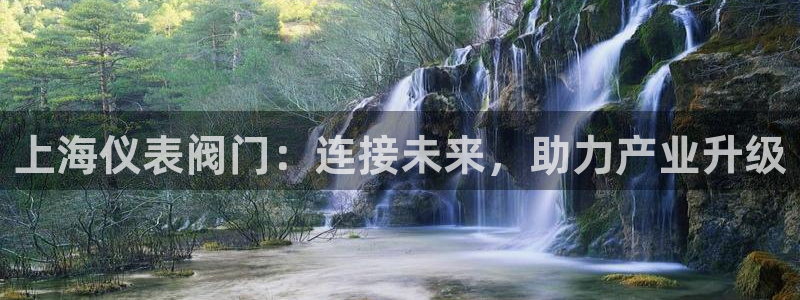 九游会ip