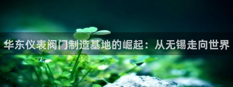 九游会官网在线客服