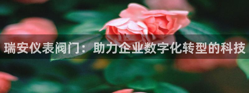 九游会感受