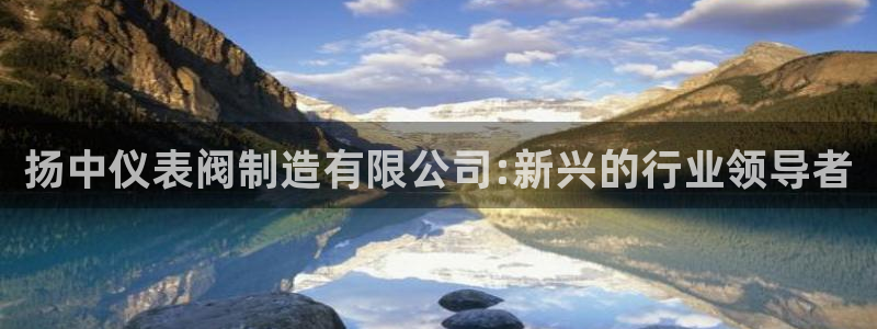 九游会贷款
