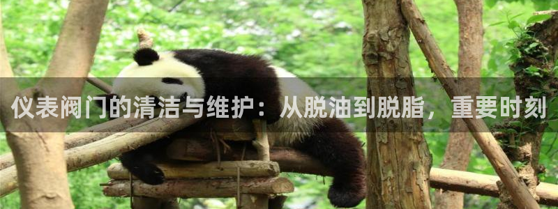 j9九游会老哥俱乐部