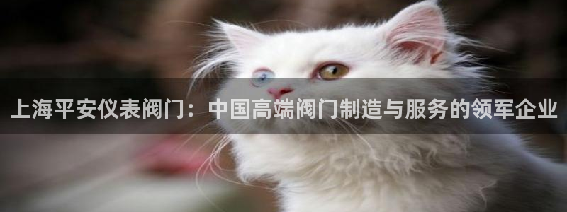 九游会登录主页