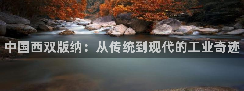 九游会手机端