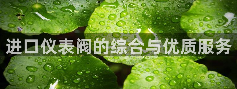 九游会3668