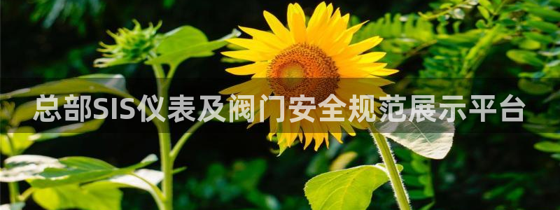 u九游会