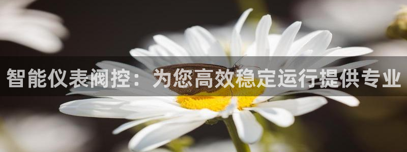 九游会安全码