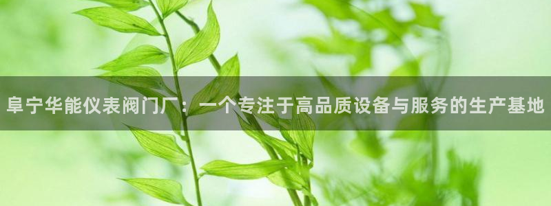 九游会现场