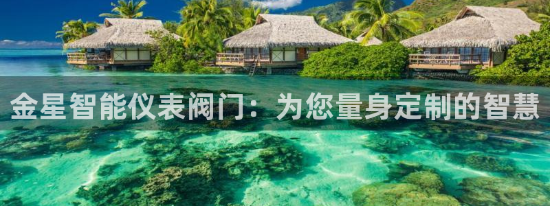 亚洲九游会公司