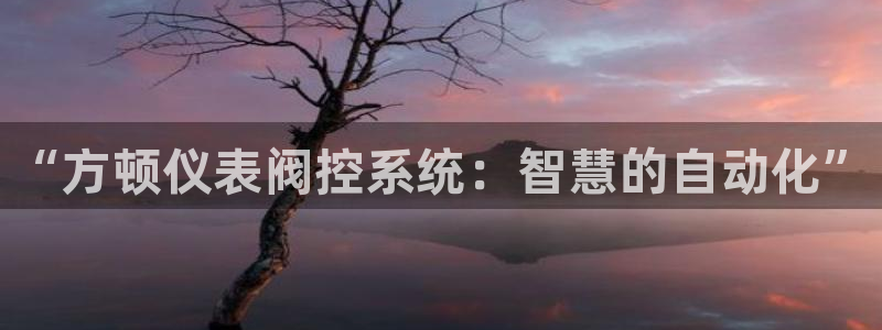 手机九游会