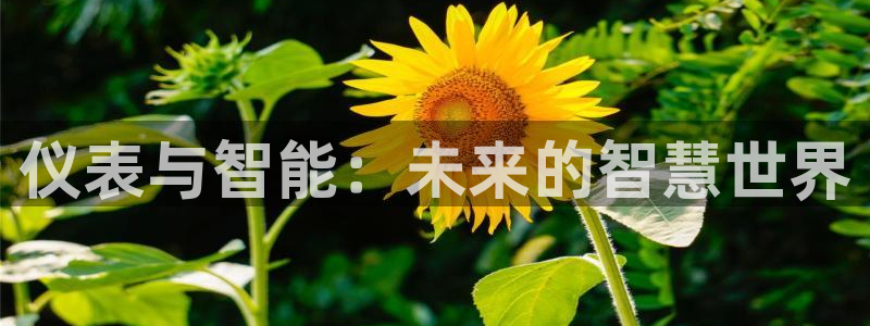 九游会旧版