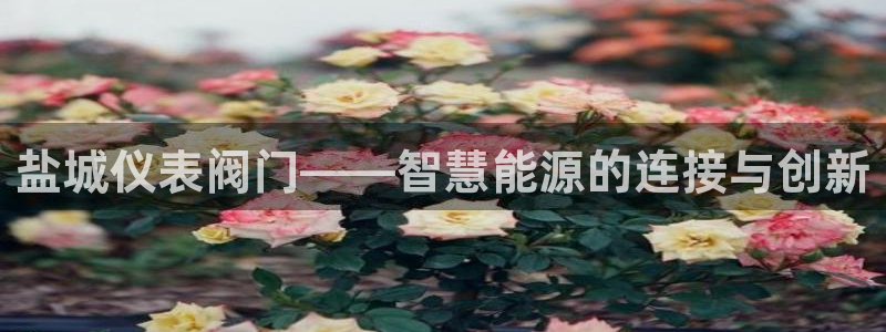 九游会新版平台