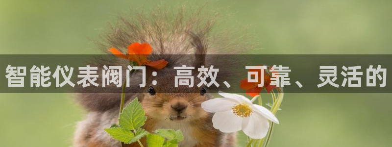 九游会网页版