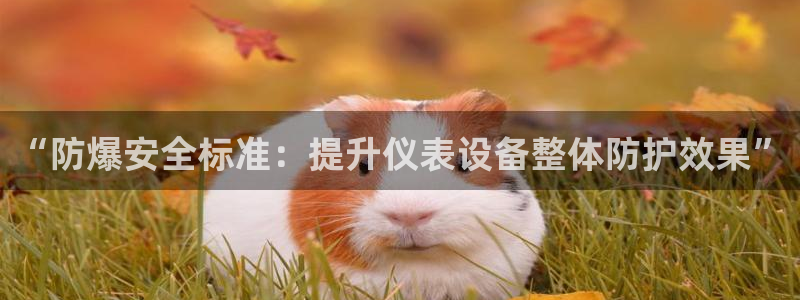 九游会vip俱乐部