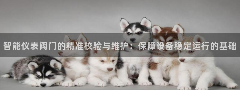 j9九游会平台