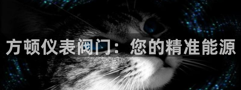九游会 体育