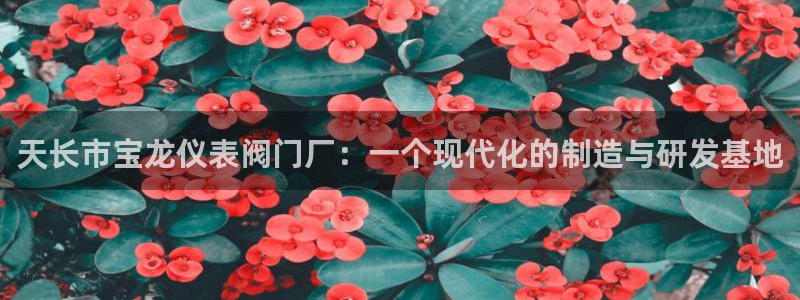 九游会体育赛事