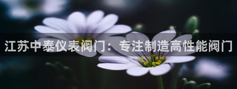 ag九游会官网客服