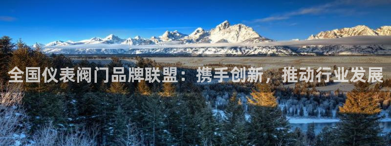 九游会官网真人游戏