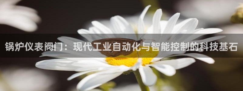 九游会路线入口