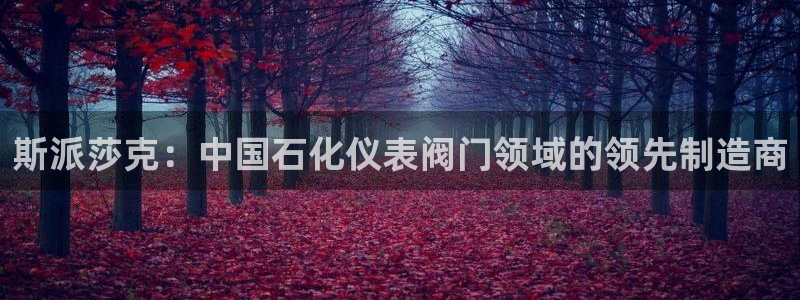 j9九游会官网
